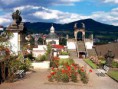 /album/fotogalerie298/ruze-decin-jpg/